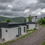 Daire Japods Kingdom